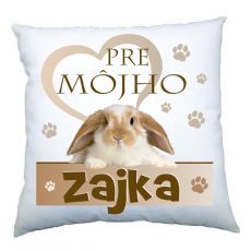 Vankúš Pre môjho Zajka